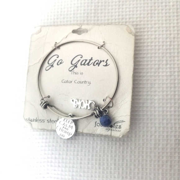 Jewelry - Silver and Blue Gators Charm Bracelet